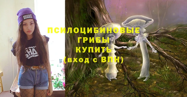 прущая мука Нея