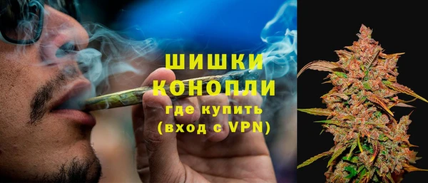 эйфоретик Арсеньев